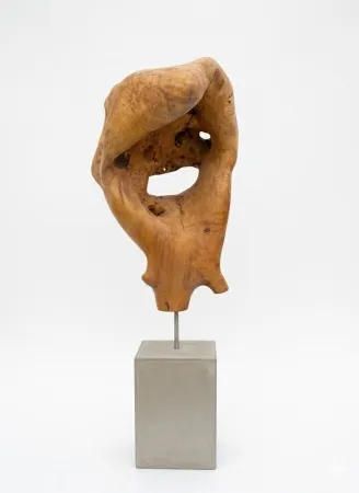 GÜVEN ATEŞ tarafından 2025 yılında 58x34x17 cm ölçülerinde Ahşap heykel - Salkım söğüt tekniği ile yapılmıştır.