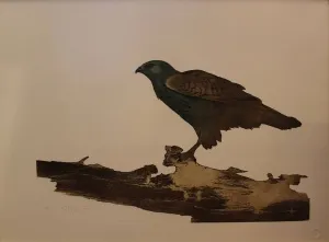 FATİH MİKA tarafından 2008 yılında 48x64 cm ölçülerinde Gravür 10//50 tekniği ile yapılmıştır.