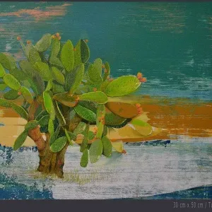 ÜMİT TÜRK tarafından 2013 yılında 30x50 cm ölçülerinde Tuval üzeri akrilik boya tekniği ile yapılmıştır.