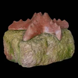 SIRMA YILDIZ tarafından 2015 yılında 37x34x20 cm ölçülerinde Onyx tekniği ile yapılmıştır.