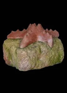 SIRMA YILDIZ tarafından 2015 yılında 37x34x20 cm ölçülerinde Onyx tekniği ile yapılmıştır.