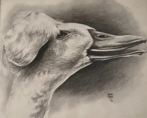 KENAN DEĞER tarafından 1990 yılında 45x56 cm ölçülerinde Kağıt üzeri kurşun kalem tekniği ile yapılmıştır.