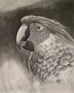 KENAN DEĞER tarafından 1990 yılında 56x45 cm ölçülerinde Kağıt üzeri kurşun kalem tekniği ile yapılmıştır.