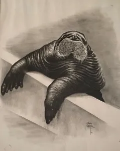 KENAN DEĞER tarafından 1990 yılında 56x45 cm ölçülerinde Kağıt üzeri kurşun kalem tekniği ile yapılmıştır.