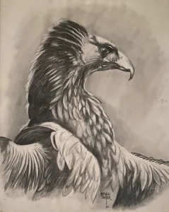 KENAN DEĞER tarafından 1990 yılında 56x45 cm ölçülerinde Kağıt üzeri kurşun kalem tekniği ile yapılmıştır.