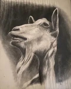 KENAN DEĞER tarafından 1990 yılında 56x45 cm ölçülerinde Kağıt üzeri kurşun kalem tekniği ile yapılmıştır.