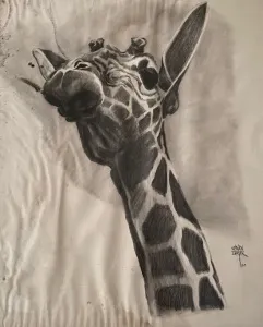 KENAN DEĞER tarafından 1990 yılında 56x45 cm ölçülerinde Kağıt üzeri kurşun kalem tekniği ile yapılmıştır.