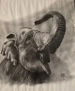 KENAN DEĞER tarafından 1999 yılında 56x45 cm ölçülerinde Kağıt üzeri kurşun kalem tekniği ile yapılmıştır.