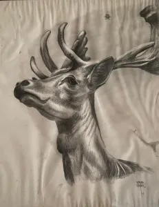 KENAN DEĞER tarafından 1990 yılında 56x45 cm ölçülerinde Kağıt üzeri kurşun kalem tekniği ile yapılmıştır.