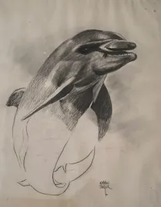 KENAN DEĞER tarafından 1990 yılında 56x45 cm ölçülerinde Kağıt üzeri kurşun kalem tekniği ile yapılmıştır.