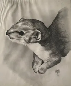 KENAN DEĞER tarafından 1991 yılında 56x45 cm ölçülerinde Kağıt üzeri kurşun kalem tekniği ile yapılmıştır.