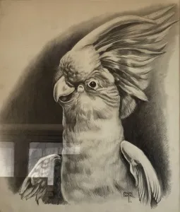 KENAN DEĞER tarafından 1990 yılında 40x30 cm ölçülerinde Kağıt üzeri kurşun kalem tekniği ile yapılmıştır.