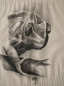 KENAN DEĞER tarafından 1990 yılında 56x45 cm ölçülerinde Kağıt üzeri kurşun kalem tekniği ile yapılmıştır.