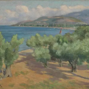 ŞEREF AKDİK tarafından 1961 yılında 50x65 cm ölçülerinde Tuval üzeri yağlı boya tekniği ile yapılmıştır.