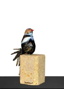 MARİA BERENT tarafından 2014 yılında 40x15x20 cm ölçülerinde Seramik, Tel tekniği ile yapılmıştır.