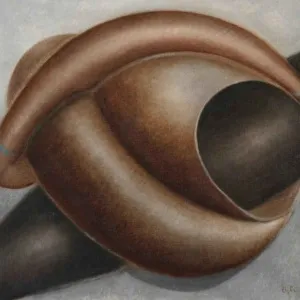 NECMETTİN ÖZLÜ tarafından 2009 yılında 55x50 cm ölçülerinde Tuval üzeri yağlı boya tekniği ile yapılmıştır.