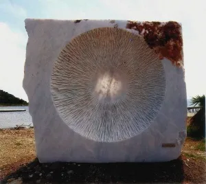 SELÇUK YILMAZ tarafından yapılmıştır.