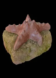 SIRMA YILDIZ tarafından 2014 yılında 30x35x45 cm ölçülerinde Kayseri taşı tekniği ile yapılmıştır.