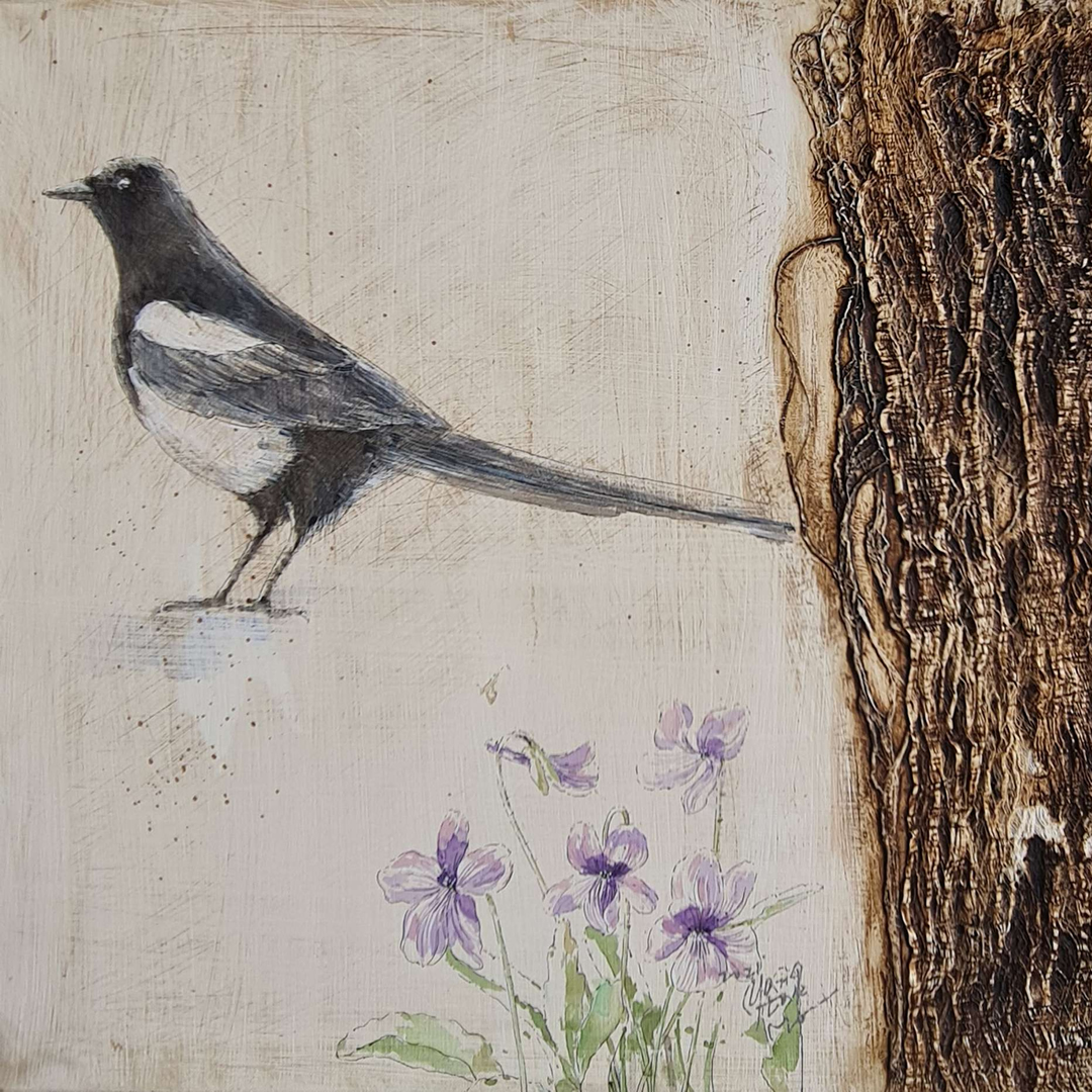 TAE MO YANG sergisi — Galeri Soyut
