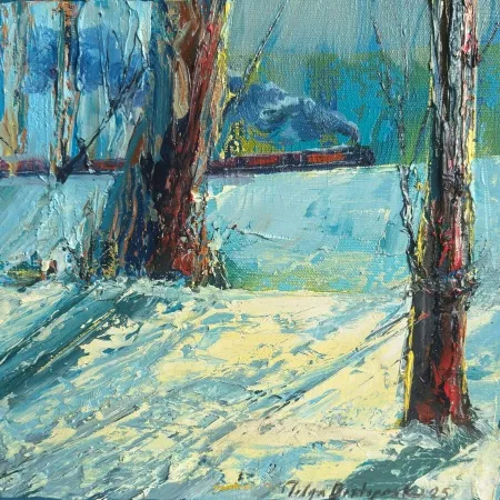 TOLGA BOZTOPRAK tarafından 2025 yılında 25x25 cm ölçülerinde Tuval üzeri akrilik boya tekniği ile yapılmıştır.