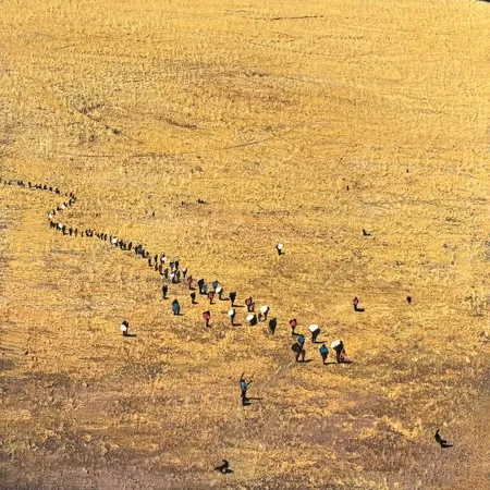 SALİH ÇAKAR tarafından 2025 yılında 25x25 cm ölçülerinde Tuval üzeri yağlı boya tekniği ile yapılmıştır.