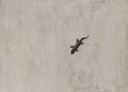 YİĞİT ALTIPARMAKOĞULLARI tarafından 2010 yılında 50x70 cm ölçülerinde Tuval üzeri yağlı boya tekniği ile yapılmıştır.