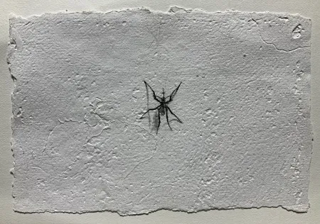 YİĞİT ALTIPARMAKOĞULLARI tarafından 2026 yılında 15x23 cm ölçülerinde Kağıt üzeri mürekkepli kalem tekniği ile yapılmıştır.