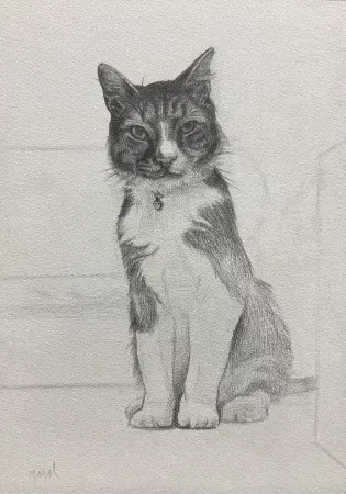 YİĞİT ALTIPARMAKOĞULLARI tarafından 2026 yılında 29,7x21 cm ölçülerinde Kağıt üzeri kurşunkalem tekniği ile yapılmıştır.