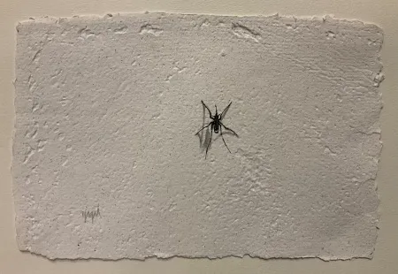 YİĞİT ALTIPARMAKOĞULLARI tarafından 2026 yılında 15x23 cm ölçülerinde Kağıt üzeri mürekkepli kalem tekniği ile yapılmıştır.