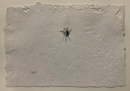 YİĞİT ALTIPARMAKOĞULLARI tarafından 2026 yılında 15x23 cm ölçülerinde Kağıt üzeri mürekkepli kalem tekniği ile yapılmıştır.