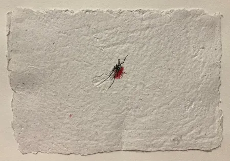 YİĞİT ALTIPARMAKOĞULLARI tarafından 2026 yılında 15x23 cm ölçülerinde Kağıt üzeri mürekkepli kalem tekniği ile yapılmıştır.