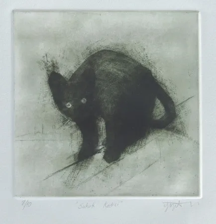 YİĞİT ALTIPARMAKOĞULLARI tarafından 2011 yılında 17x17 cm ölçülerinde Gravür tekniği ile yapılmıştır.