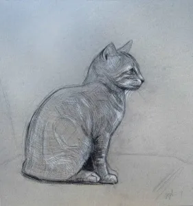 YİĞİT ALTIPARMAKOĞULLARI tarafından 2012 yılında 34x31 cm ölçülerinde Karton üzeri füzen tekniği ile yapılmıştır.