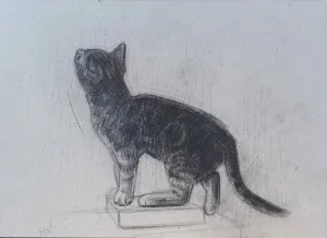 YİĞİT ALTIPARMAKOĞULLARI tarafından 2012 yılında 24x33 cm ölçülerinde Karton üzeri füzen tekniği ile yapılmıştır.