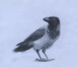 YİĞİT ALTIPARMAKOĞULLARI tarafından 2012 yılında 14x17 cm ölçülerinde Kağıt üzeri kurşun kalem tekniği ile yapılmıştır.